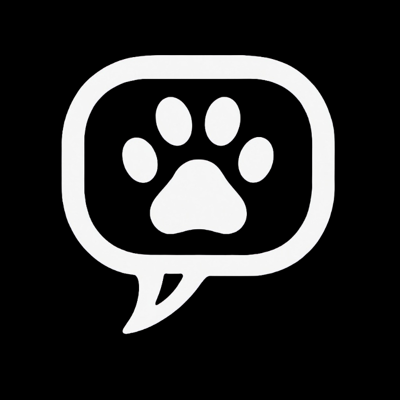 Chatting zoo free random text chat room